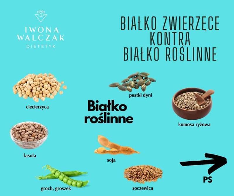 Odkryj, czym zastąpić mięso, aby dostarczyć organizmowi białko