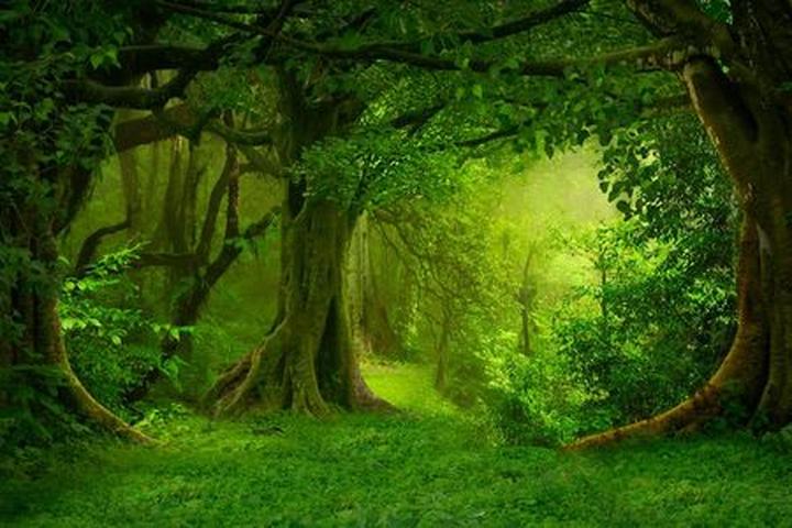 Historia handlu przyprawami