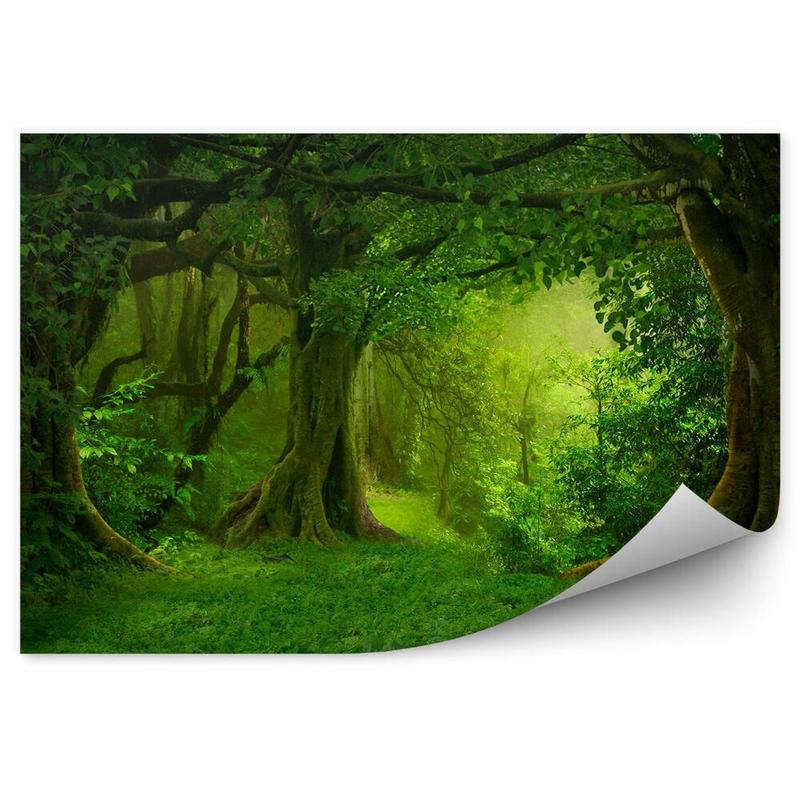 Przyprawy w kuchni tajskiej