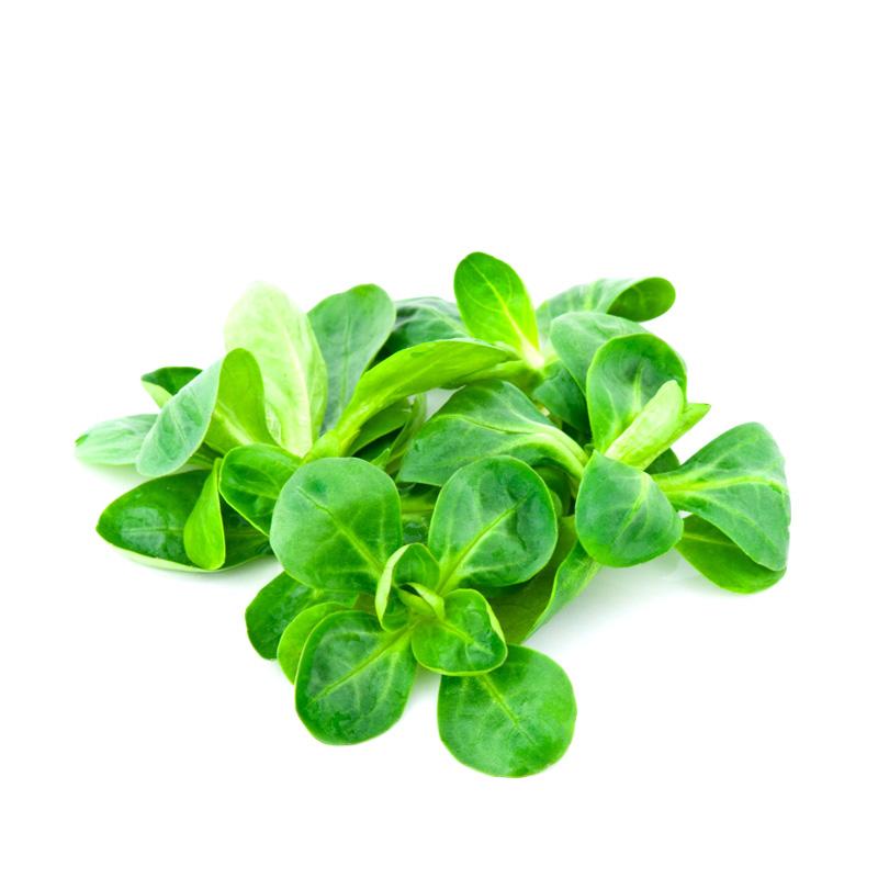 Jak łączyć roszponkę ze składnikami