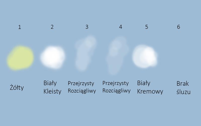 Konteksty kulturowe i społeczne śluzu pochwy
