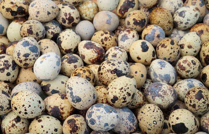 Metody gotowania jaj przepiórczych