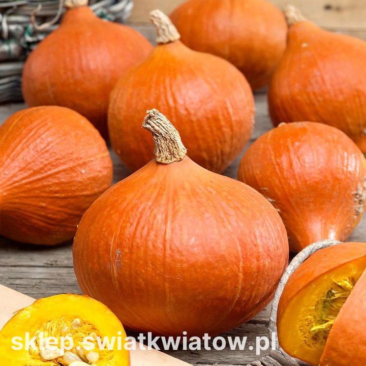 Przyprawy do dyni hokkaido