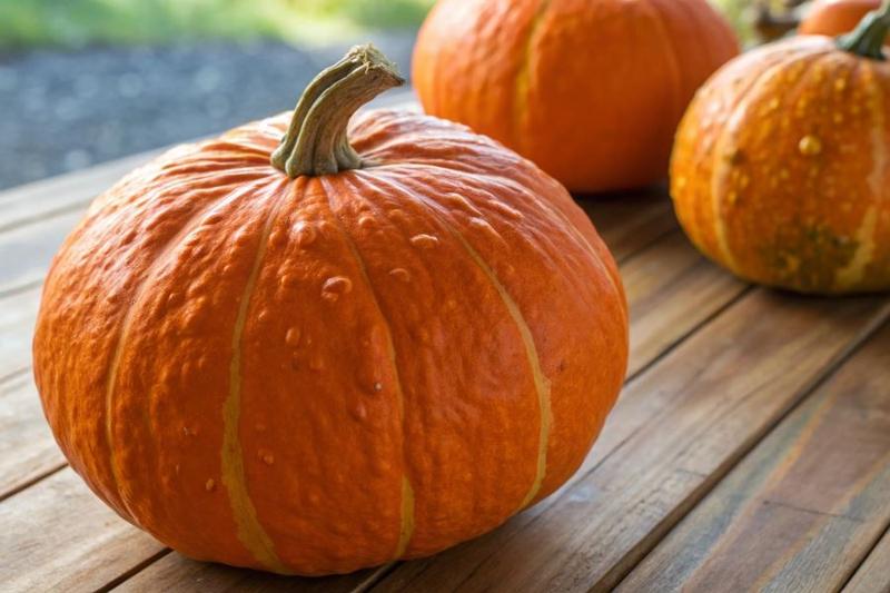 Odkryj, jakie przyprawy do dyni hokkaido wydobędą jej naturalny smak