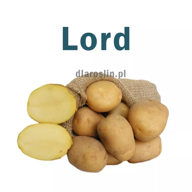 Alternatywy dla batatów