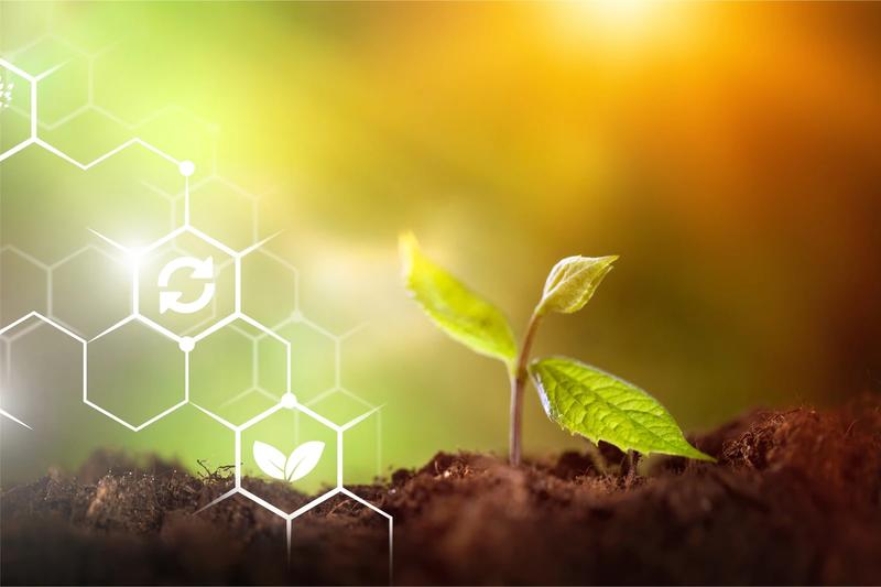 Alternatywy dla ekogroszku