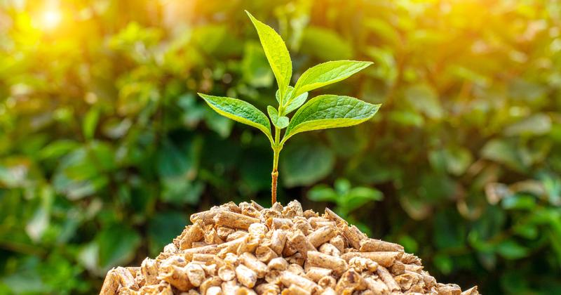 Porównanie kosztów ogrzewania domów