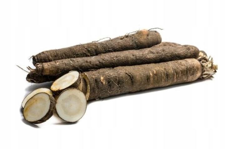 Właściwości zdrowotne skorzonery