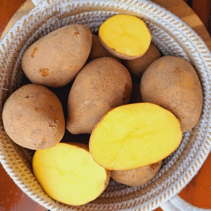 Alternatywy dla batatów: czym zastąpić ten popularny składnik w kuchni?